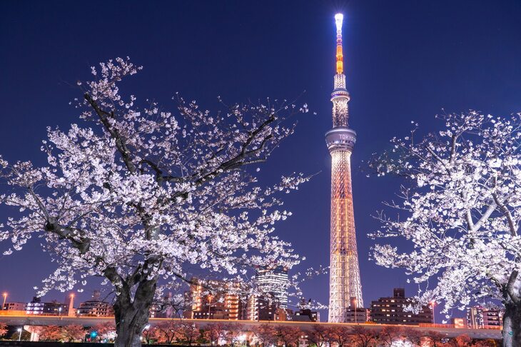 Du Lịch Nhật Bản: Hà Nội - Tokyo - Phú Sĩ - Hakone - Kyoto - Osaka 6 Ngày Bay Vietnam Airlines